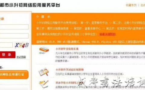 2019成都小升初大摇号攻略！附大摇号学校信息 –