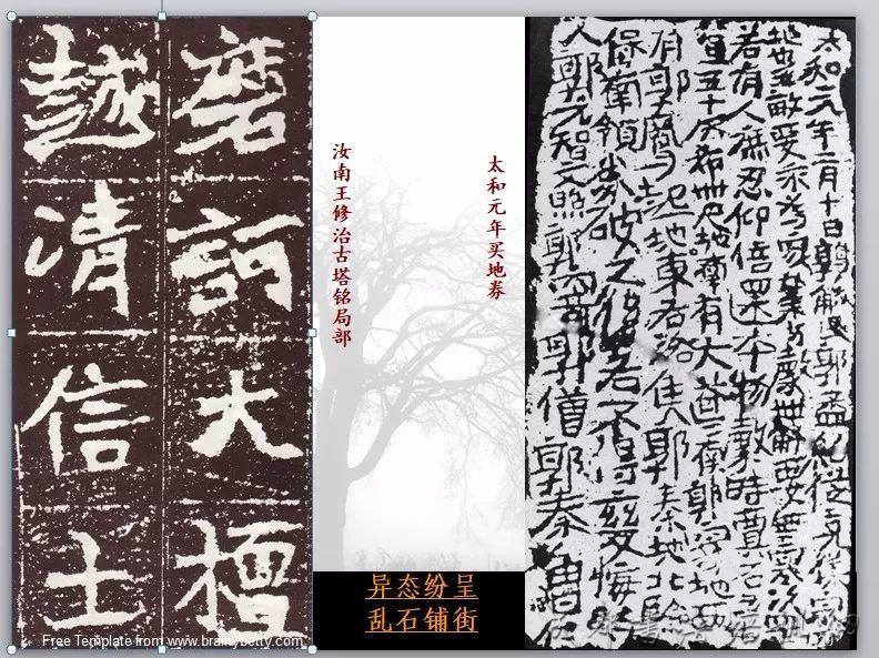 故宫博物院副研究员杨频老师“书法的内部与深度”主题讲座在成华区举行 &#8211;