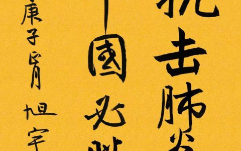 河北省书法家协会战“疫”| 作品集