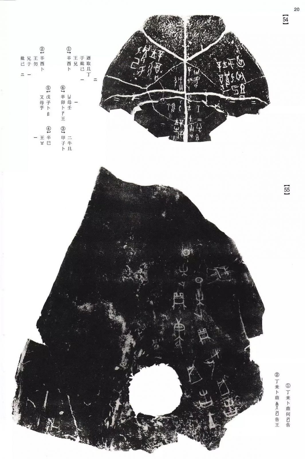 书法字帖 | @佚名《甲骨文金文》二玄社(中国法书选1) 书法字帖 | @佚名《甲骨文金文》二玄社(中国法书选1)
