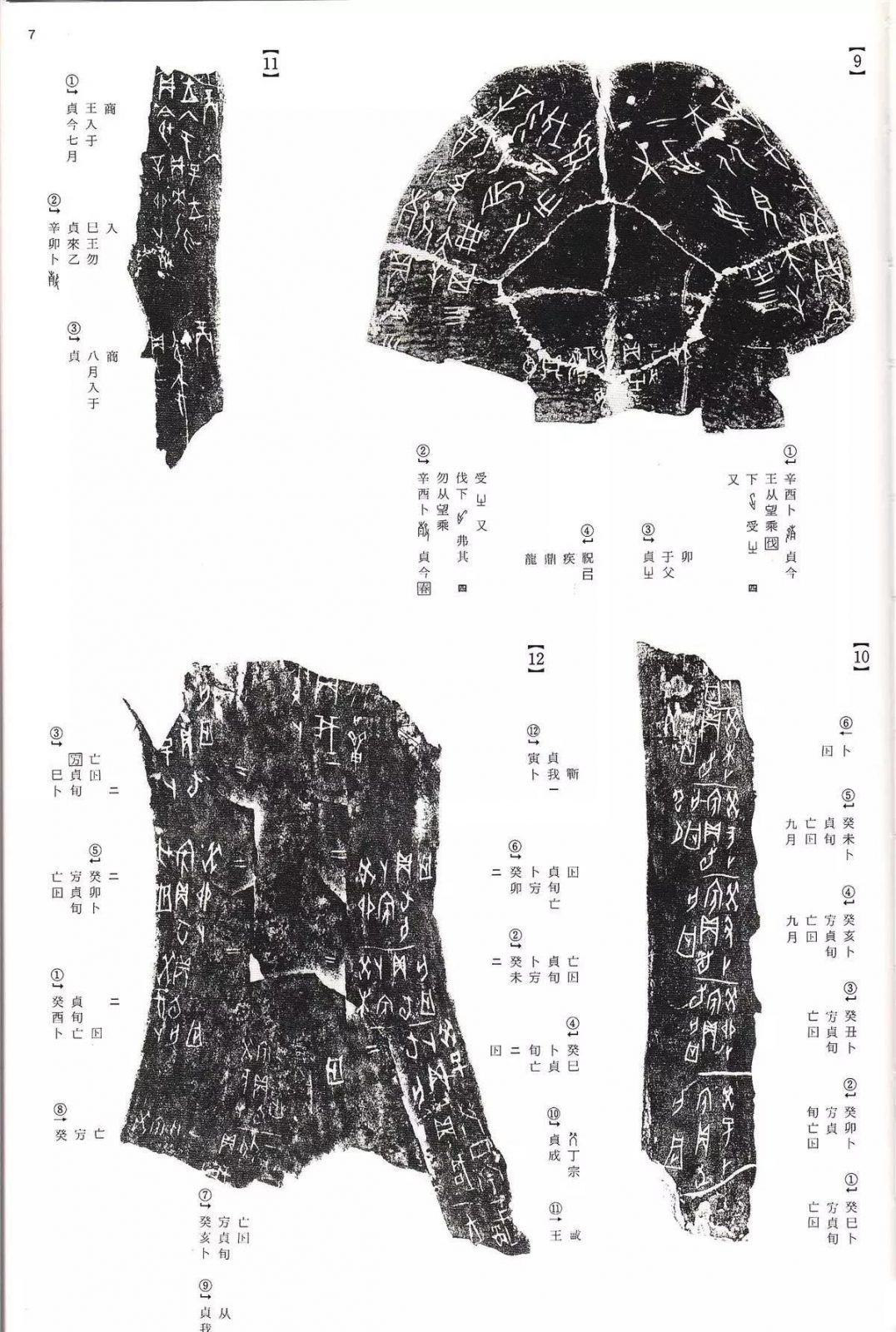 书法字帖 | @佚名《甲骨文金文》二玄社(中国法书选1) 书法字帖 | @佚名《甲骨文金文》二玄社(中国法书选1)