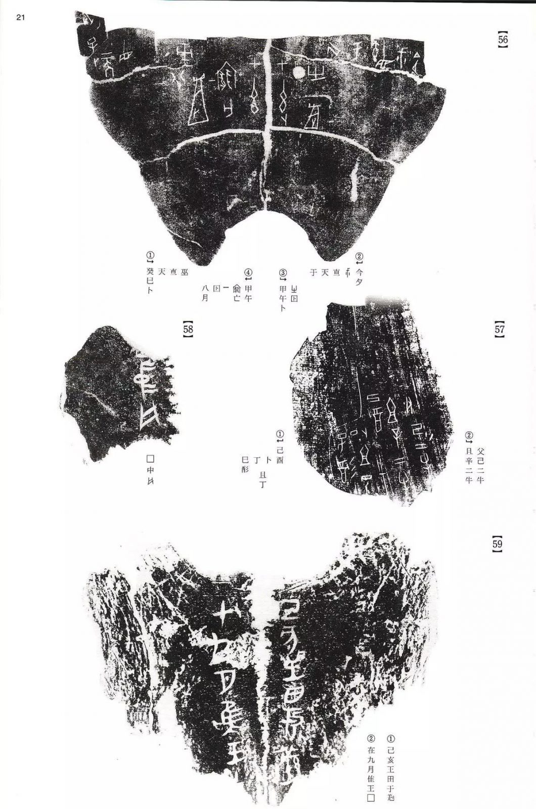 书法字帖 | @佚名《甲骨文金文》二玄社(中国法书选1) 书法字帖 | @佚名《甲骨文金文》二玄社(中国法书选1)