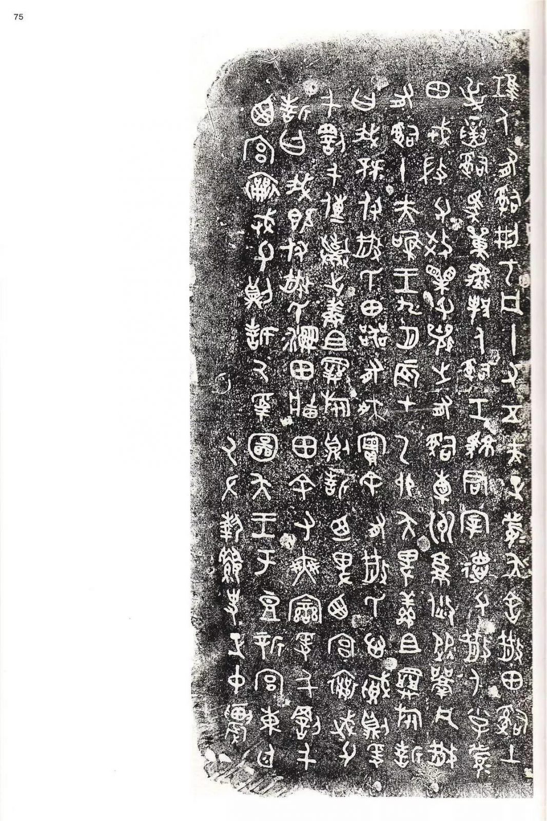 书法字帖 | @佚名《甲骨文金文》二玄社(中国法书选1) 书法字帖 | @佚名《甲骨文金文》二玄社(中国法书选1)