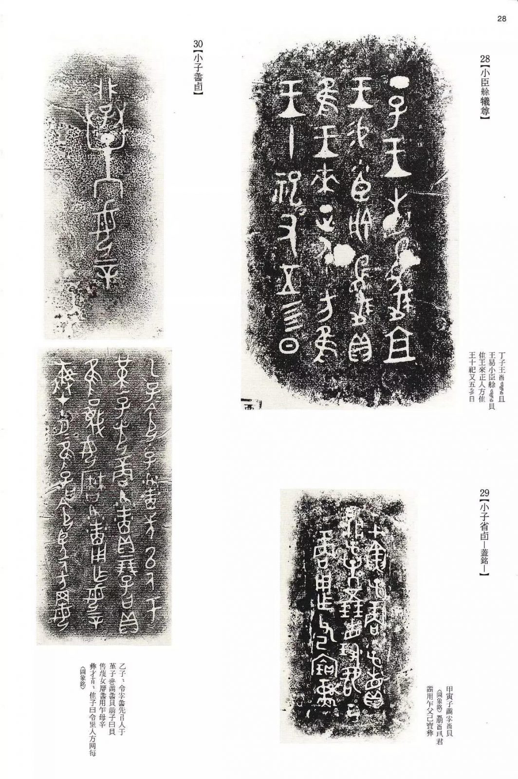 书法字帖 | @佚名《甲骨文金文》二玄社(中国法书选1) 书法字帖 | @佚名《甲骨文金文》二玄社(中国法书选1)