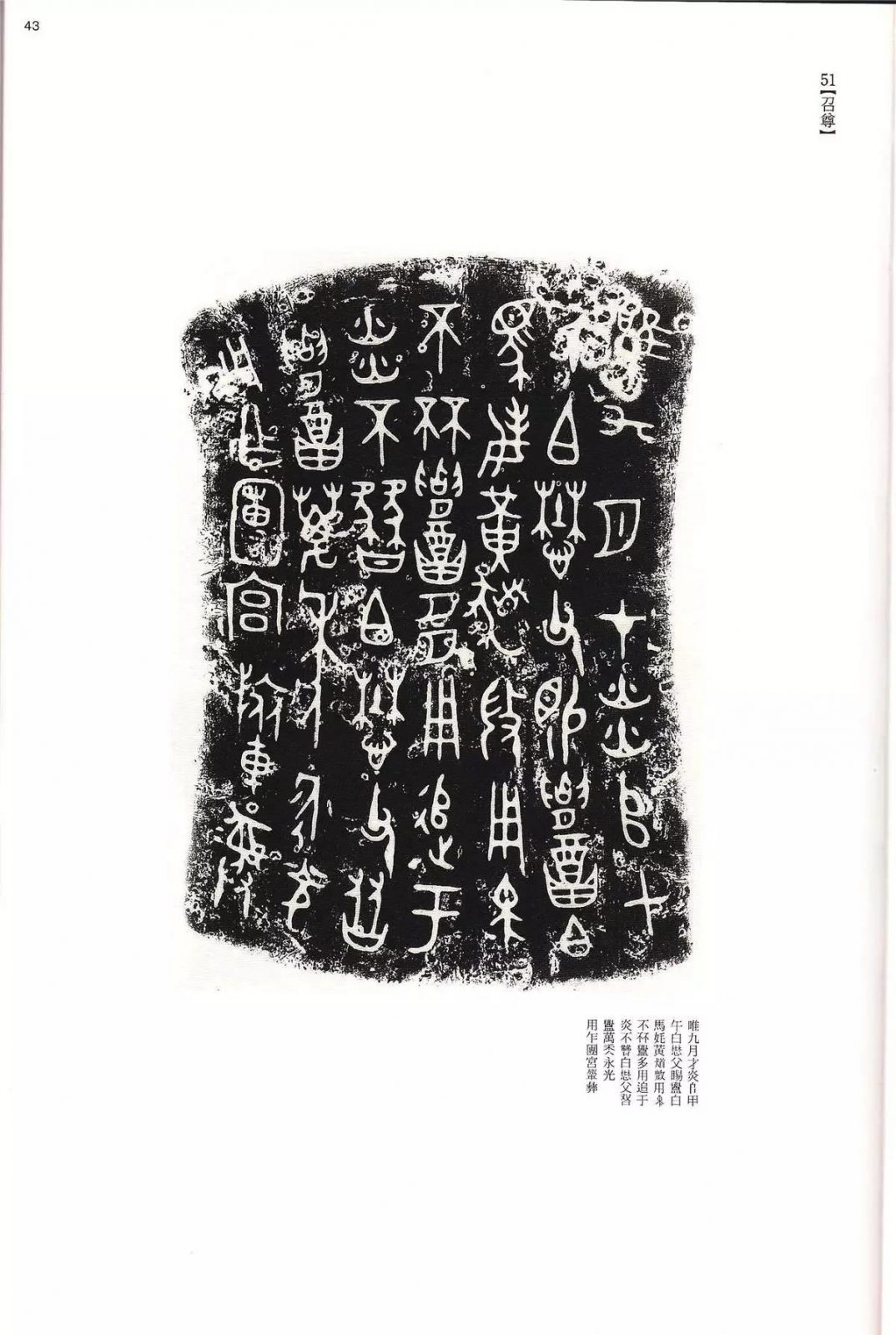 书法字帖 | @佚名《甲骨文金文》二玄社(中国法书选1) 书法字帖 | @佚名《甲骨文金文》二玄社(中国法书选1)