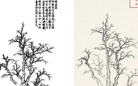 水墨VS木刻|《水墨芥子园》——枯树法