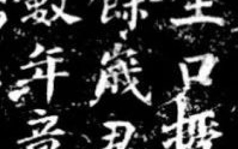 王家葵：古代石刻中有关卫生防疫的材料