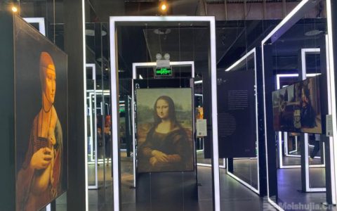 《致敬达芬奇》光影艺术展长沙再现达芬奇天赋
