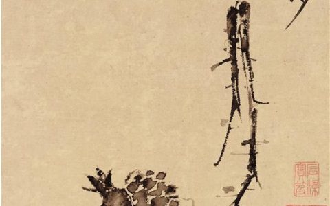 青藤白阳：大小写意画的宗师