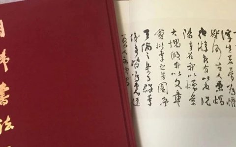 《胡炜书法作品集》首发式暨胡炜书法艺术作品研讨会在海城澄州书院举行