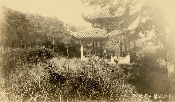 纪念|画家陶冷月诞辰125周年,他的民国“写真”日渐清晰