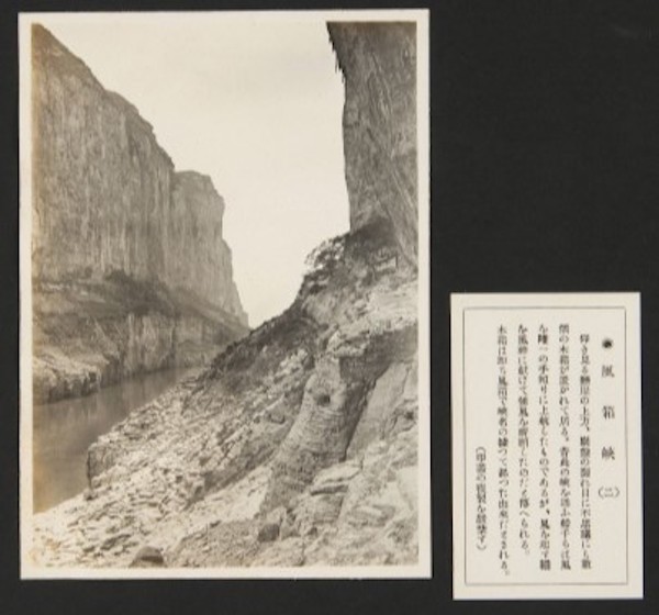 纪念|画家陶冷月诞辰125周年,他的民国“写真”日渐清晰