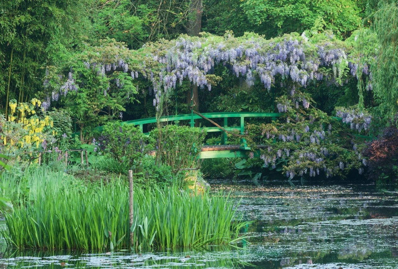 走访“莫奈的花园”：未曾走远的睡莲、鸢尾与日本桥