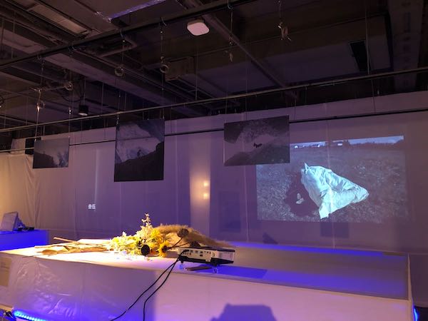 “边缘与意识”艺术展：留美学生探讨疫情下的孤独与疗愈