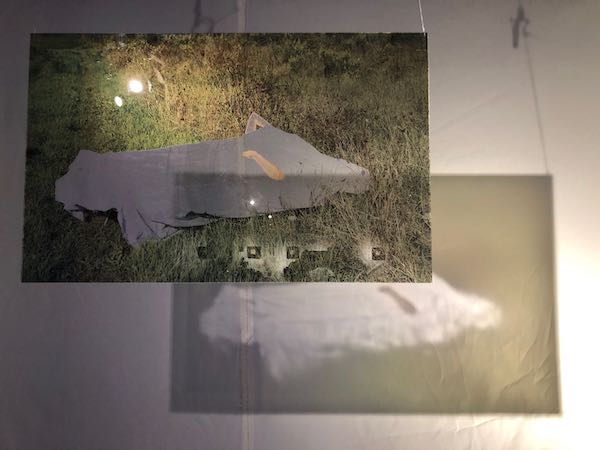 “边缘与意识”艺术展：留美学生探讨疫情下的孤独与疗愈