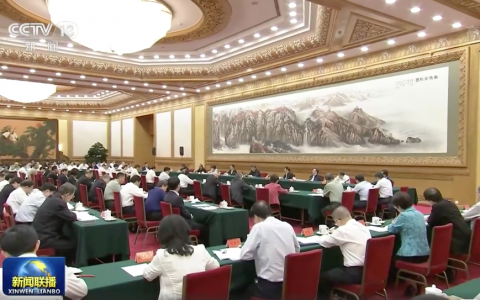 习近平主持召开教育文化卫生体育领域专家代表座谈会，中国美术家协会主席、中央美术学院院长范迪安参会并发言