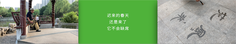 影像｜美术馆里的“公·园”，摄影师眼里的公园