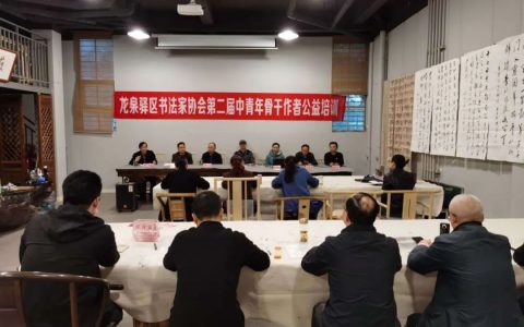 2020年龙泉驿区书法家协会第二届中青年骨干会员公益培训班开班