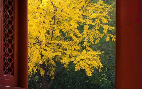 20201106_5fa5546682559