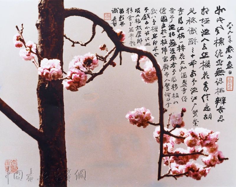 “摩耶精舍”在上海徐徐展开：透过摄影再读张大千