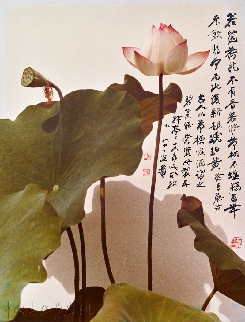 “摩耶精舍”在上海徐徐展开：透过摄影再读张大千