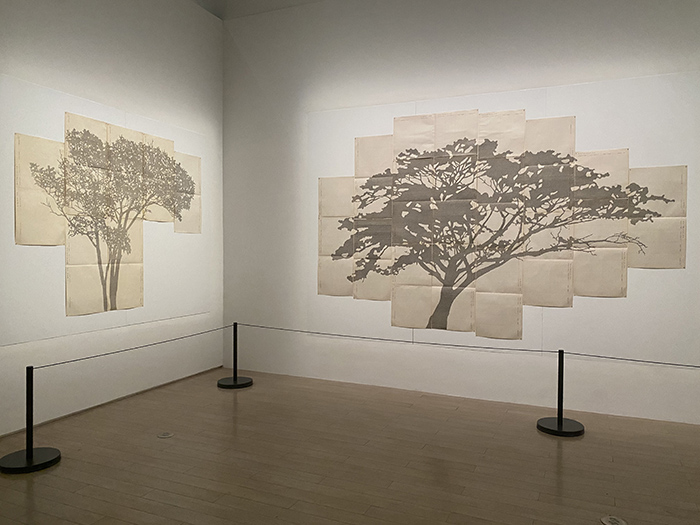 在“图像树林”中乘凉，上海当代艺术博物馆呈现“树，树”