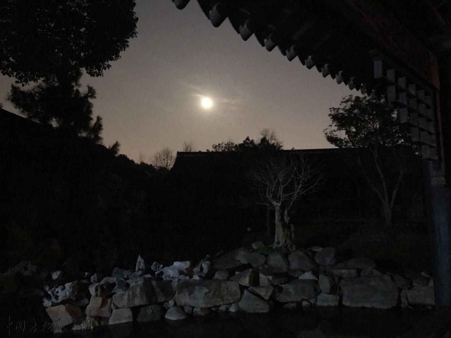 见证海派传承的“翰青雅集”:从老宅走向美术馆