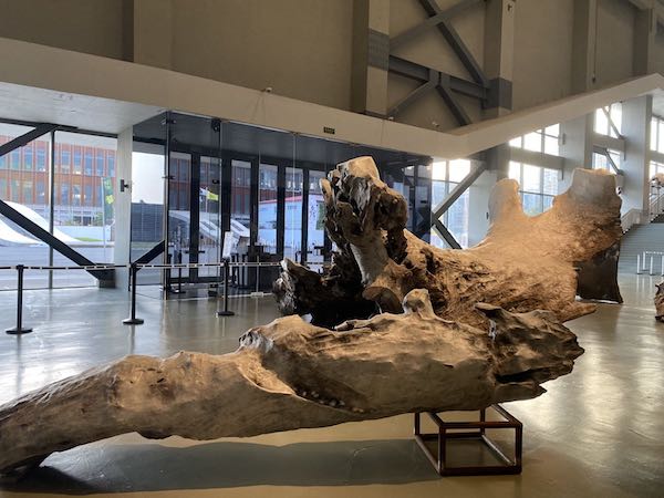 现场|梁绍基：三十年“蚕我我蚕”，寻找蜕变