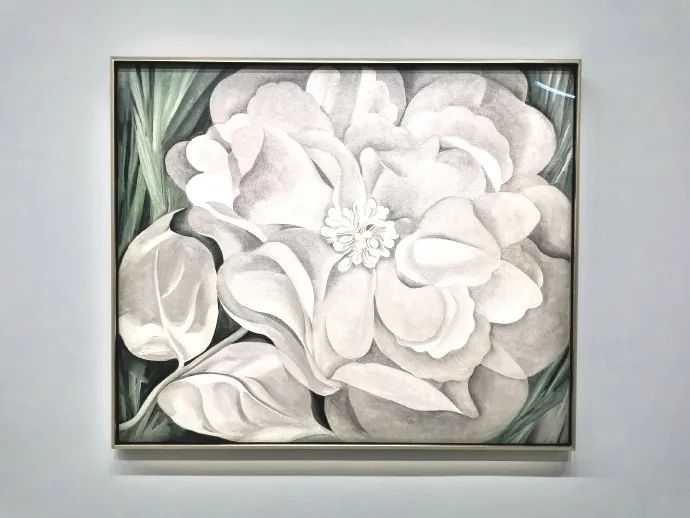蓬皮杜聚焦乔治娅·欧姬芙:这位神秘、桀骜不驯的女性