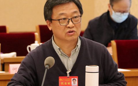 喜迎第十一次文代会｜ 丁宁学习习总书记在开幕式上重要讲话精神的心得体会