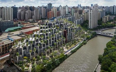 探访苏州河畔巨型“空中森林”，如山脉起伏于都市