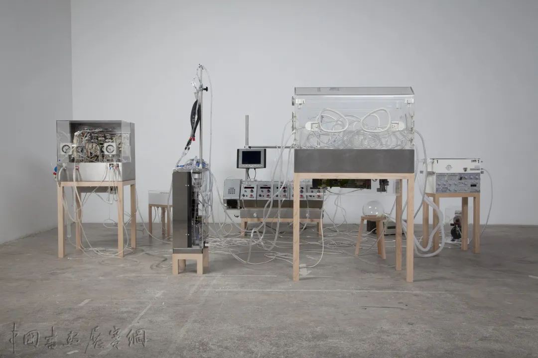 观展｜用艺术探讨虚拟和现实：皮肤之下，机器之间