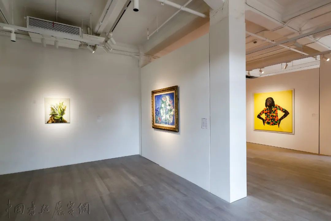巴斯奇亚作品中国内地首拍,毕加索画作同时亮相