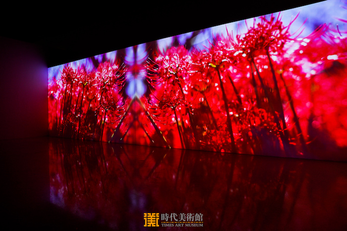 现场｜虚构与现实：蜷川实花镜头下的如梦似幻