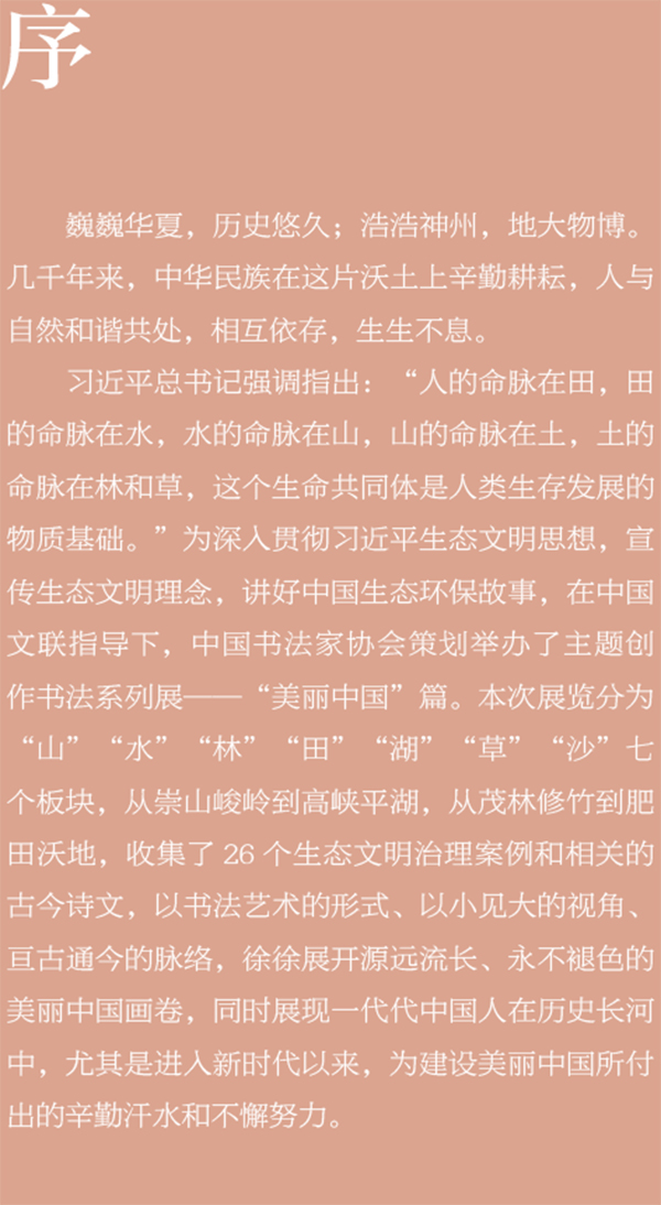 中国书协主题创作书法系列展——美丽中国