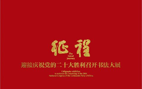 征程·观点：学术主持谈大展