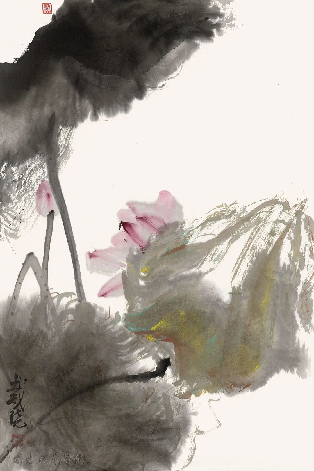 荷风清响——戴晓花鸟画展在成都开幕 荷风清响——戴晓花鸟画展在成都开幕