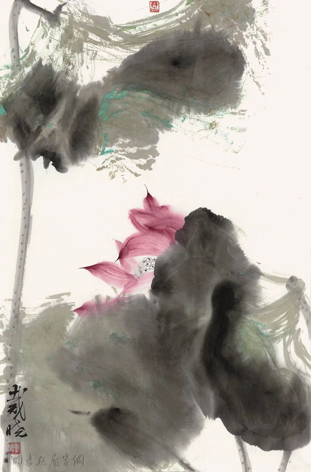 荷风清响——戴晓花鸟画展在成都开幕 荷风清响——戴晓花鸟画展在成都开幕