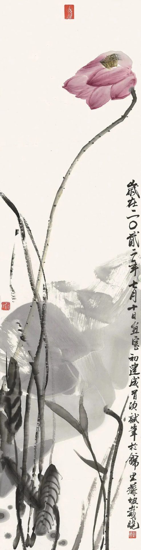 荷风清响——戴晓花鸟画展在成都开幕 荷风清响——戴晓花鸟画展在成都开幕