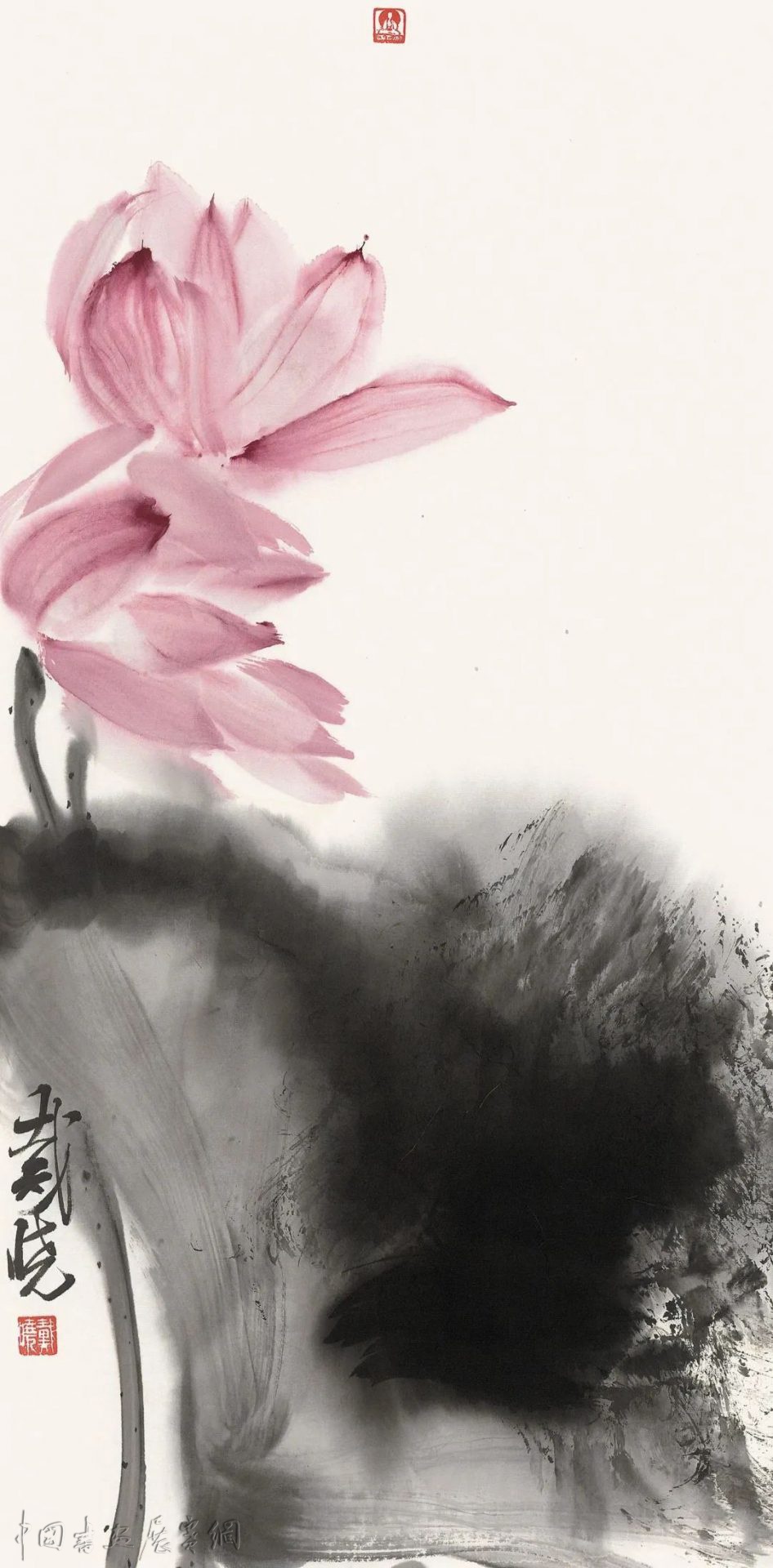 荷风清响——戴晓花鸟画展在成都开幕 荷风清响——戴晓花鸟画展在成都开幕