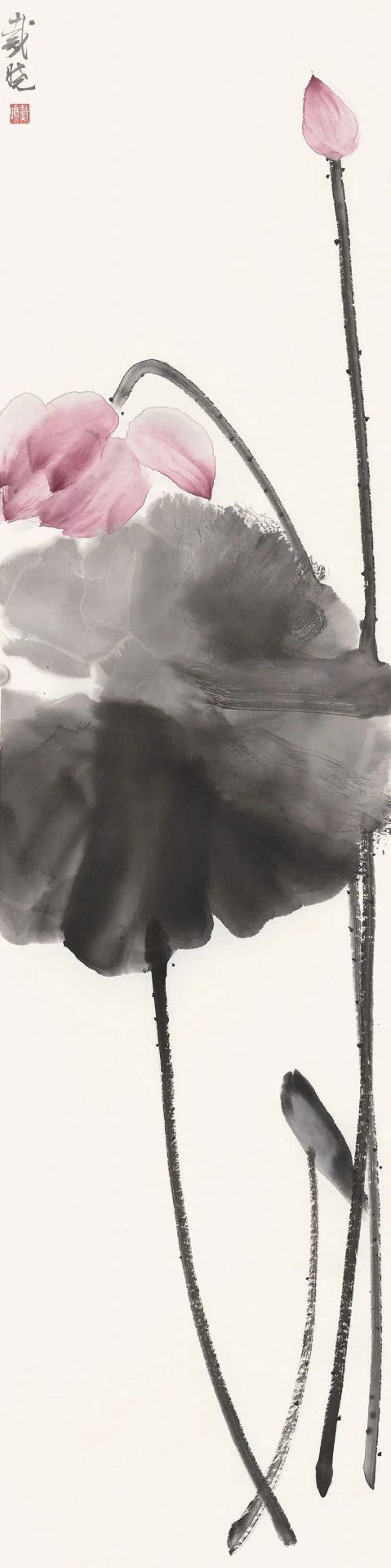 荷风清响——戴晓花鸟画展在成都开幕 荷风清响——戴晓花鸟画展在成都开幕