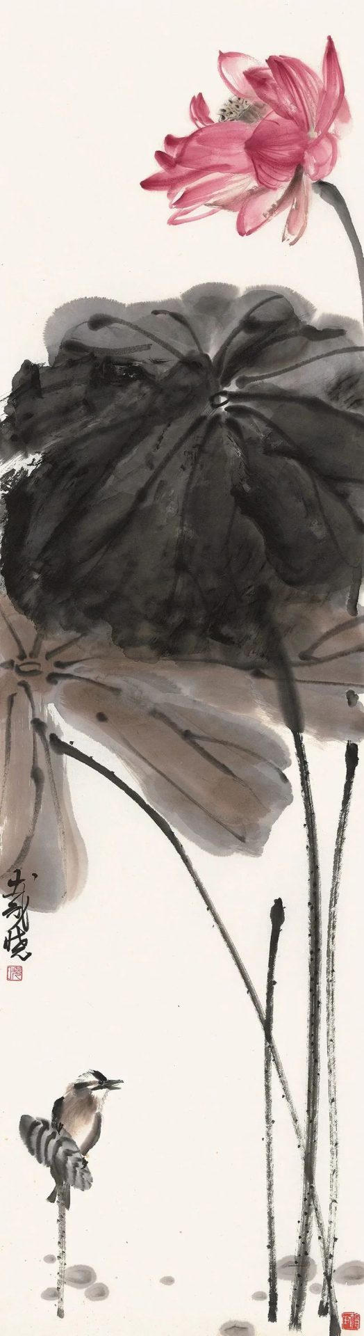 荷风清响——戴晓花鸟画展在成都开幕 荷风清响——戴晓花鸟画展在成都开幕