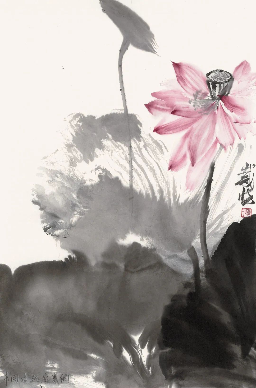 荷风清响——戴晓花鸟画展在成都开幕 荷风清响——戴晓花鸟画展在成都开幕