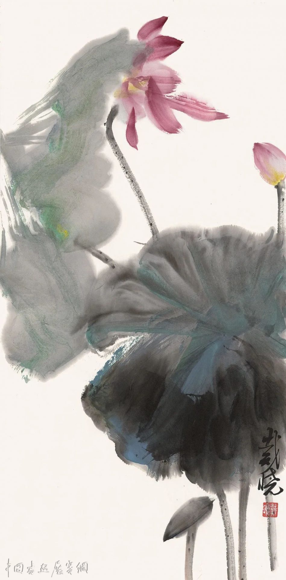 荷风清响——戴晓花鸟画展在成都开幕 荷风清响——戴晓花鸟画展在成都开幕