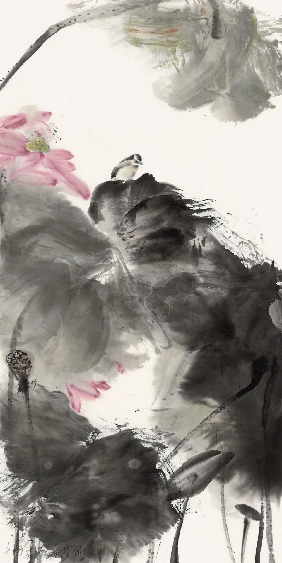 荷风清响——戴晓花鸟画展在成都开幕 荷风清响——戴晓花鸟画展在成都开幕