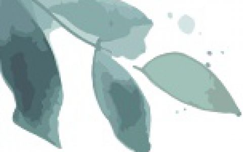 20230804_64cc6bfbb3ce7
