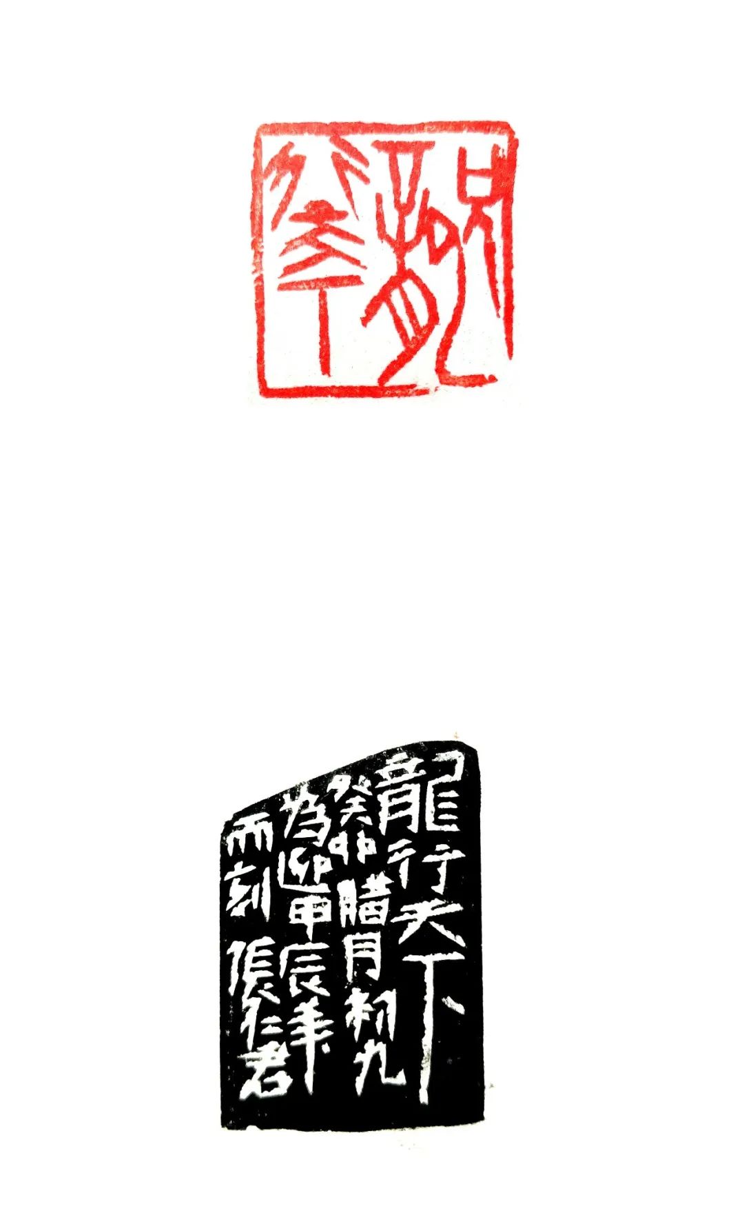 成都市书法家协会篆书与篆刻委员会“龙岁迎新”书法篆刻专题作品展