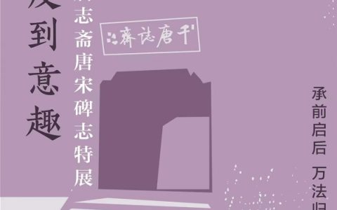 特展 | 从法度到意趣——千唐志斋唐宋碑志特展（摘选）