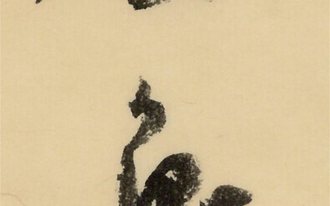 20240522_664d618fe7dd3