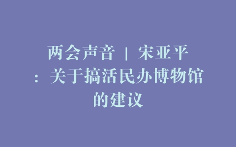 两会声音 | 宋亚平：关于搞活民办博物馆的建议